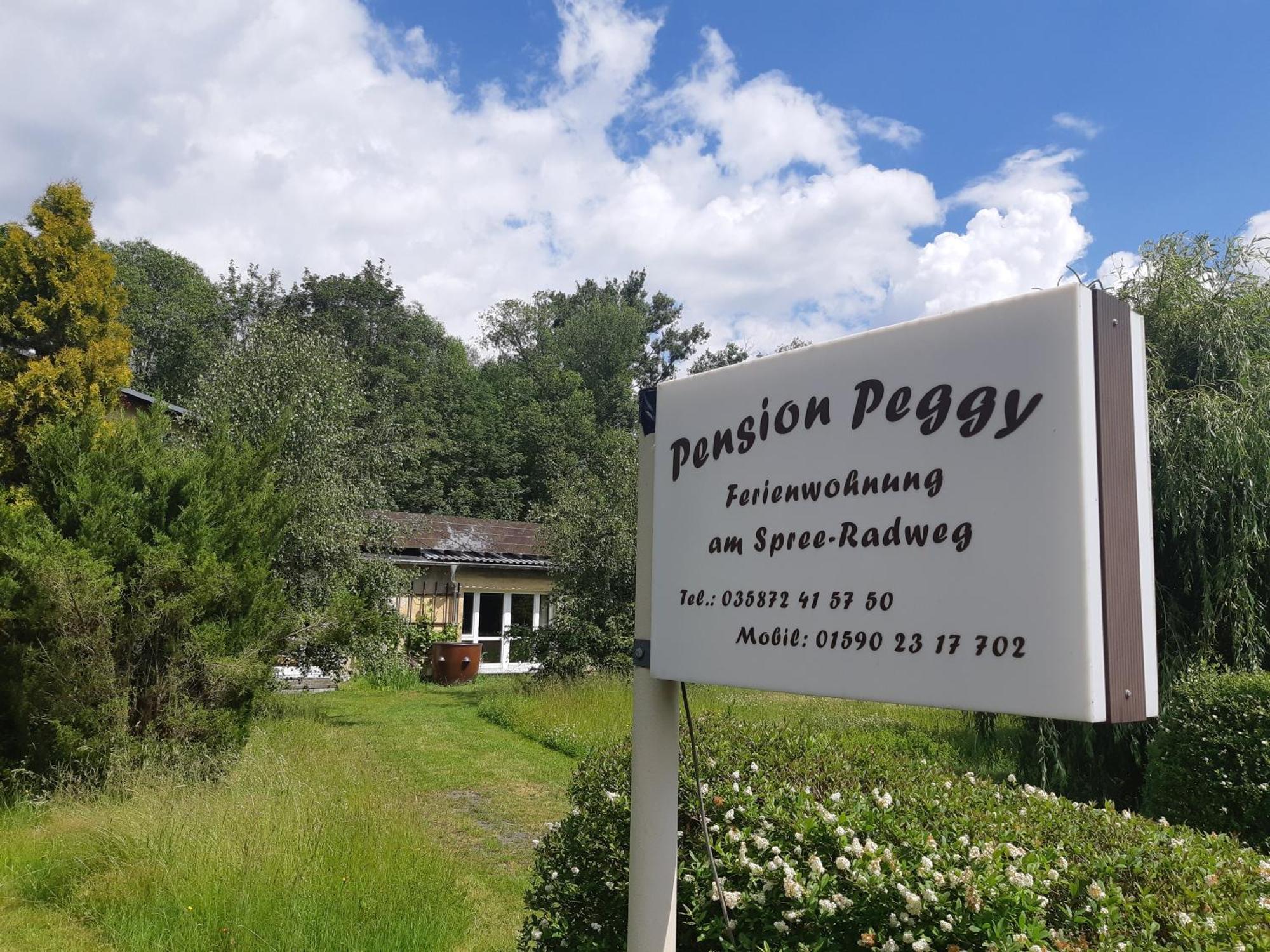 Ferienwohnung Am Spreeradweg Neusalza-Spremberg Экстерьер фото